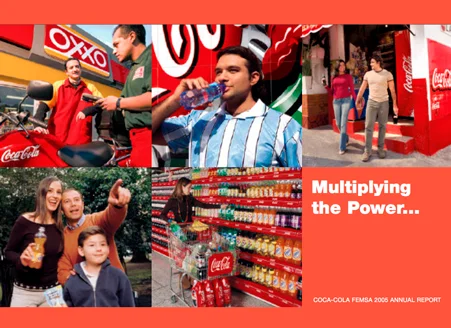 reporte-anual-2005-EN.jpg